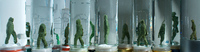 Spice Jars 4, Returning Soldiers, 2011, 17"x39", Archival Ink Jet